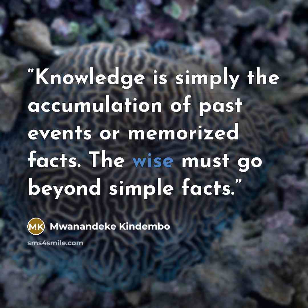 “Knowledge is simply the accumulation of past events or memorized facts. The wise must go beyond simple facts.” quote by Mwanandeke Kindembo