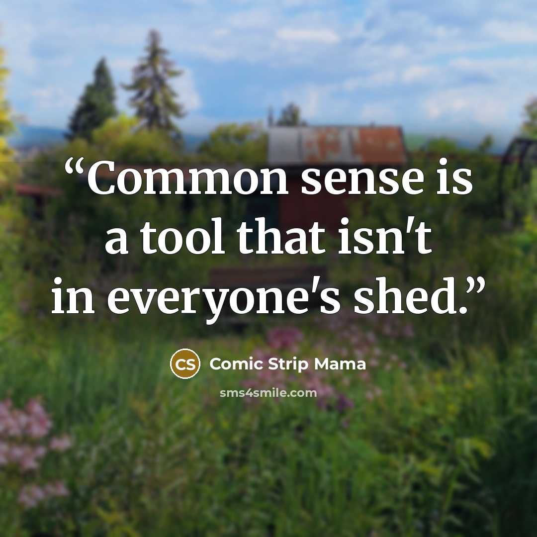 “Common sense is a tool that isn't in everyone's shed.” quote by Comic Strip Mama