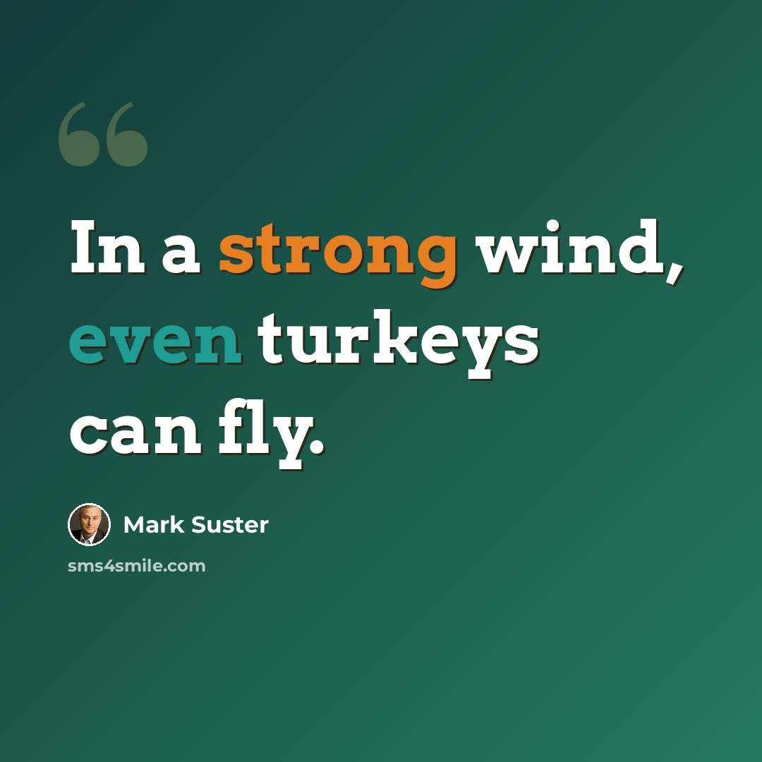 “In a strong wind, even turkeys can fly.” quote by Mark Suster