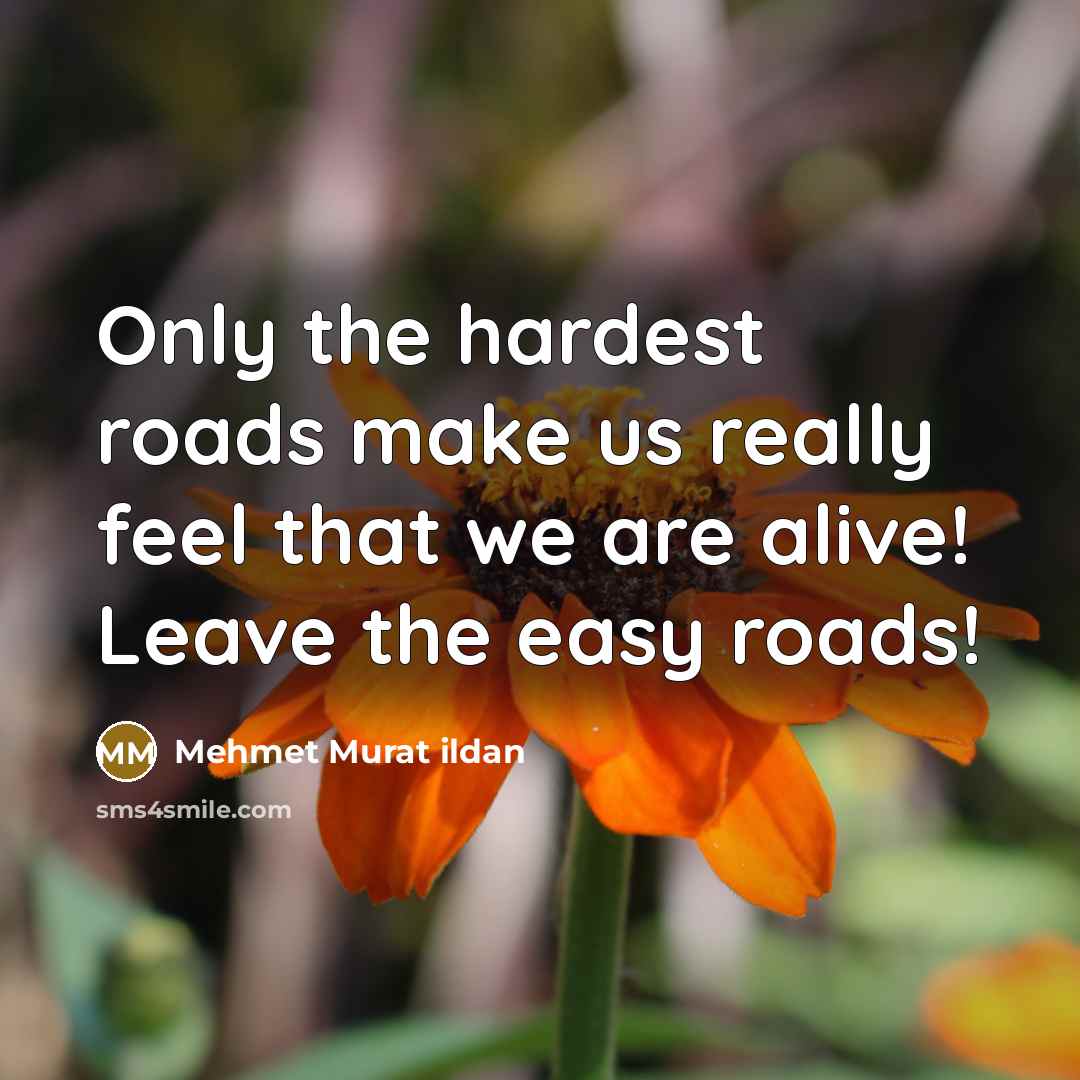 “Only the hardest roads make us really feel that we are alive! Leave the easy roads!” quote by Mehmet Murat Ildan