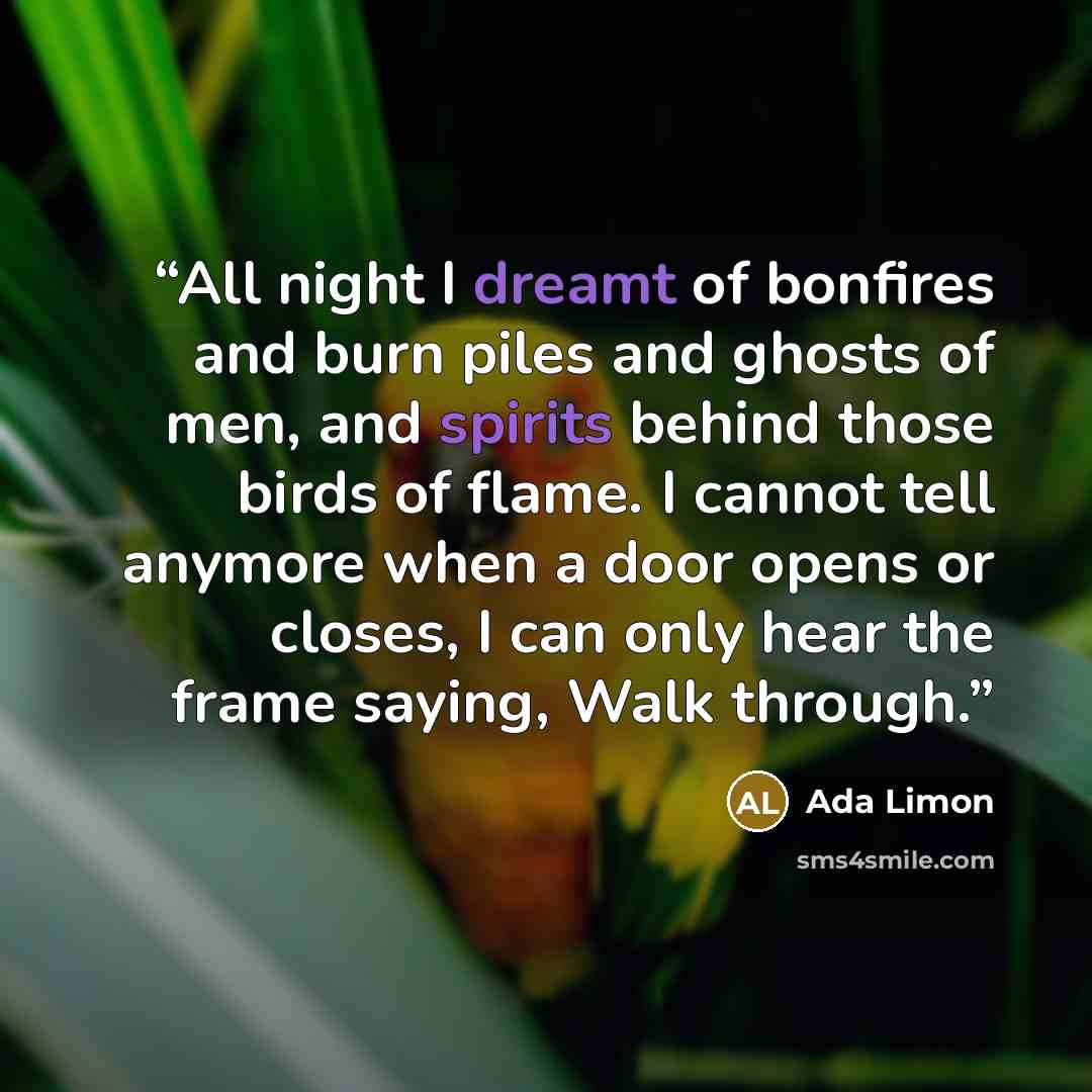 “All night I dreamt of bonfires and burn piles and ghosts of men, and spirits behind those birds of flame. I cannot tell anymore when a door opens or closes, I can only hear the frame saying, Walk through.” quote by Ada Limon