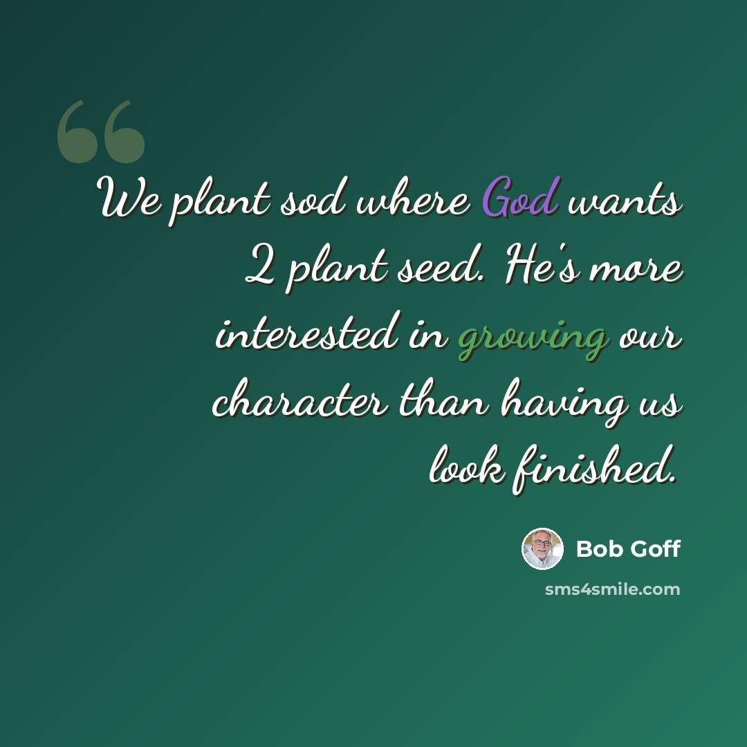 “We plant sod where God wants 2 plant seed. He's more interested in growing our character than having us look finished.” quote by Bob Goff