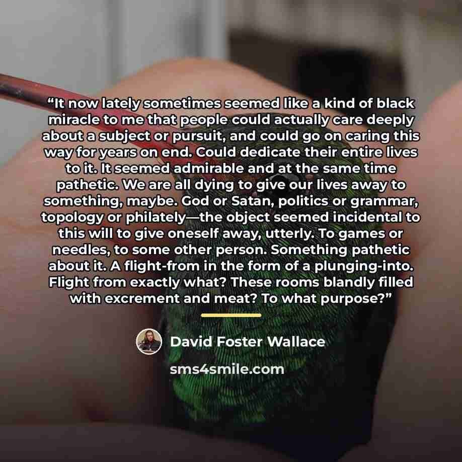“It now lately sometimes seemed like a kind of black miracle to me that people could actually care deeply about a subject or pursuit, and could go on caring this way for years on end. Could dedicate their entire lives to it. It seemed admirable and at the same time pathetic. We are all dying to…” quote by David Foster Wallace