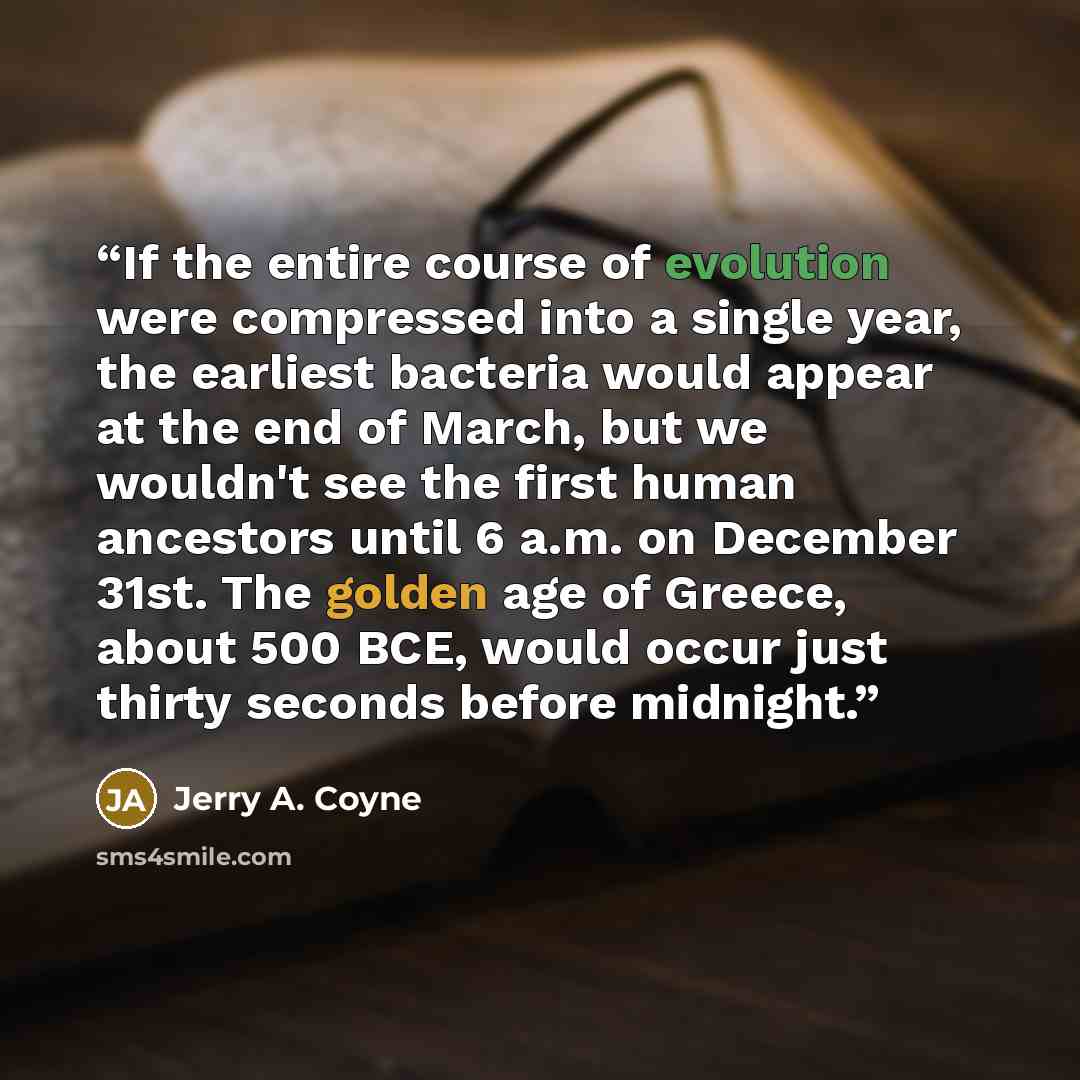 “If the entire course of evolution were compressed into a single year, the earliest bacteria would appear at the end of March, but we wouldn't see the first human ancestors until 6 a.m. on December 31st. The golden age of Greece, about 500 BCE, would occur just thirty seconds before midnight.” quote by Jerry A. Coyne