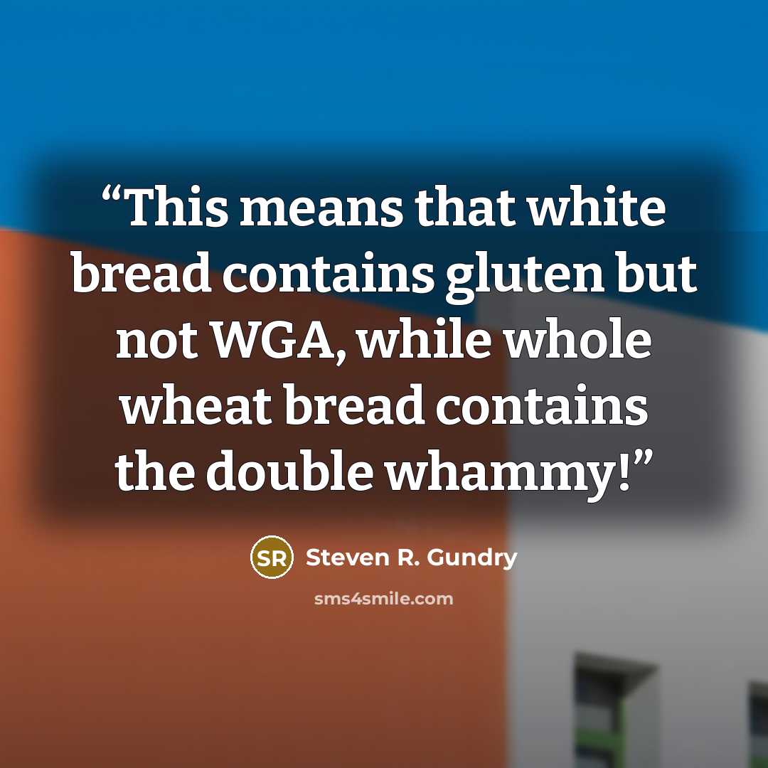 “This means that white bread contains gluten but not WGA, while whole wheat bread contains the double whammy!” quote by Steven R. Gundry