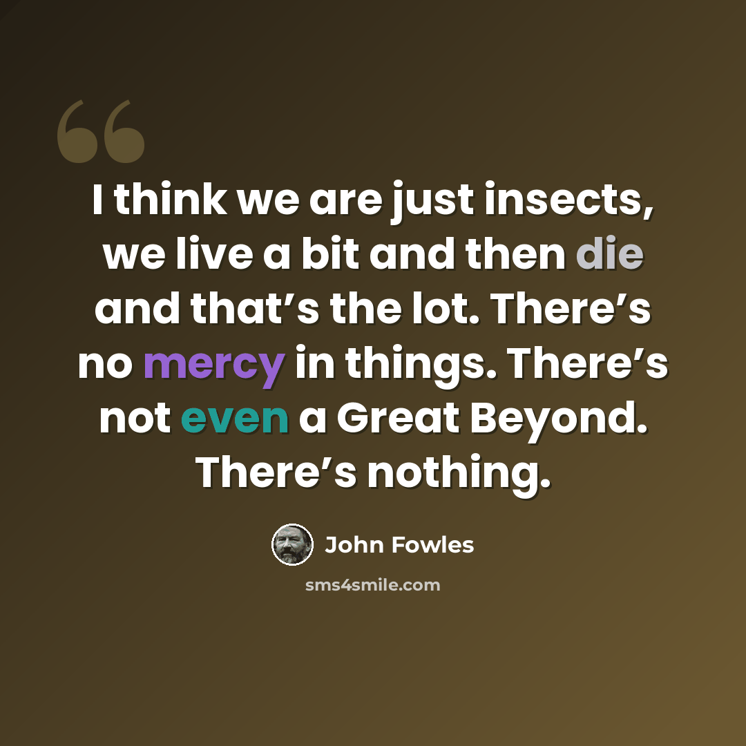 “I think we are just insects, we live a bit and then die and that’s the lot. There’s no mercy in things. There’s not even a Great Beyond. There’s nothing.” quote by John Fowles