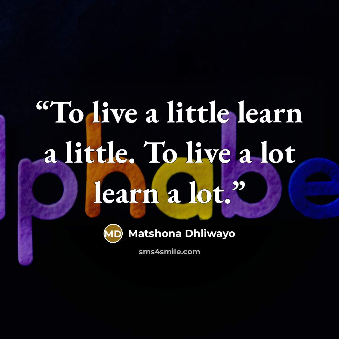 “To live a little learn a little. To live a lot learn a lot.” quote by Matshona Dhliwayo