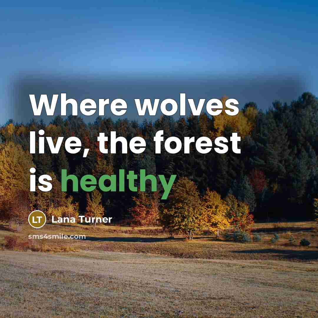 “Where wolves live, the forest is healthy” quote by Lana Turner
