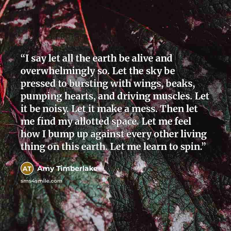 “I say let all the earth be alive and overwhelmingly so. Let the sky be pressed to bursting with wings, beaks, pumping hearts, and driving muscles. Let it be noisy. Let it make a mess. Then let me find my allotted space. Let me feel how I bump up against every other living thing on this earth. Let…” quote by Amy Timberlake
