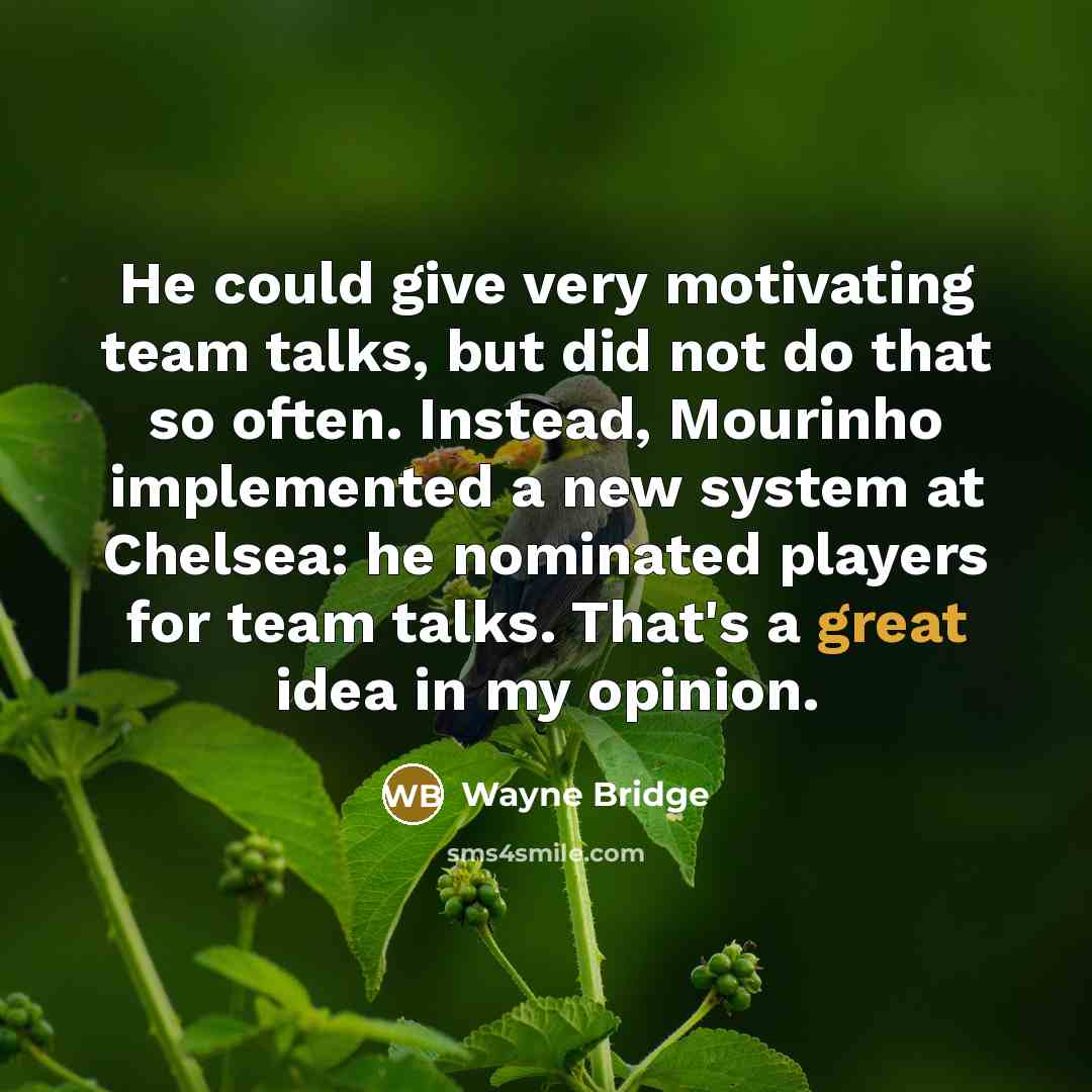 “He could give very motivating team talks, but did not do that so often. Instead, Mourinho implemented a new system at Chelsea: he nominated players for team talks. That's a great idea in my opinion.” quote by Wayne Bridge