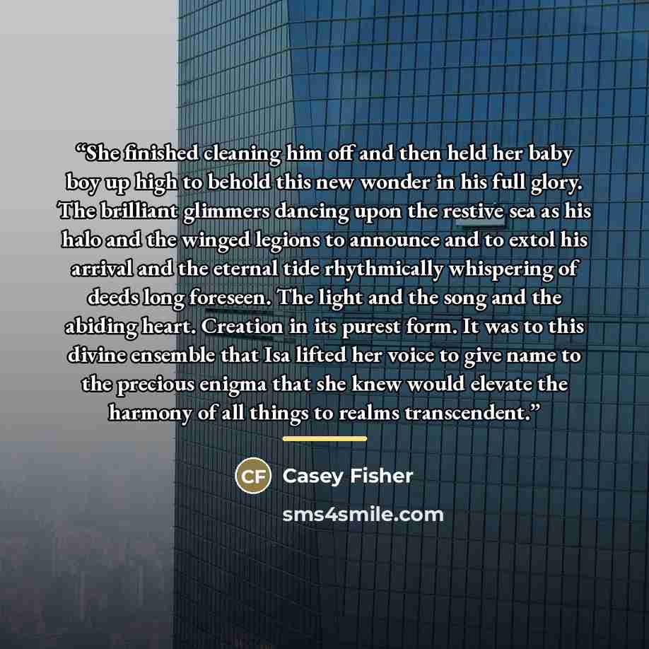 “She finished cleaning him off and then held her baby boy up high to behold this new wonder in his full glory. The brilliant glimmers dancing upon the restive sea as his halo and the winged legions to announce and to extol his arrival and the eternal tide rhythmically whispering of deeds long…” quote by Casey Fisher