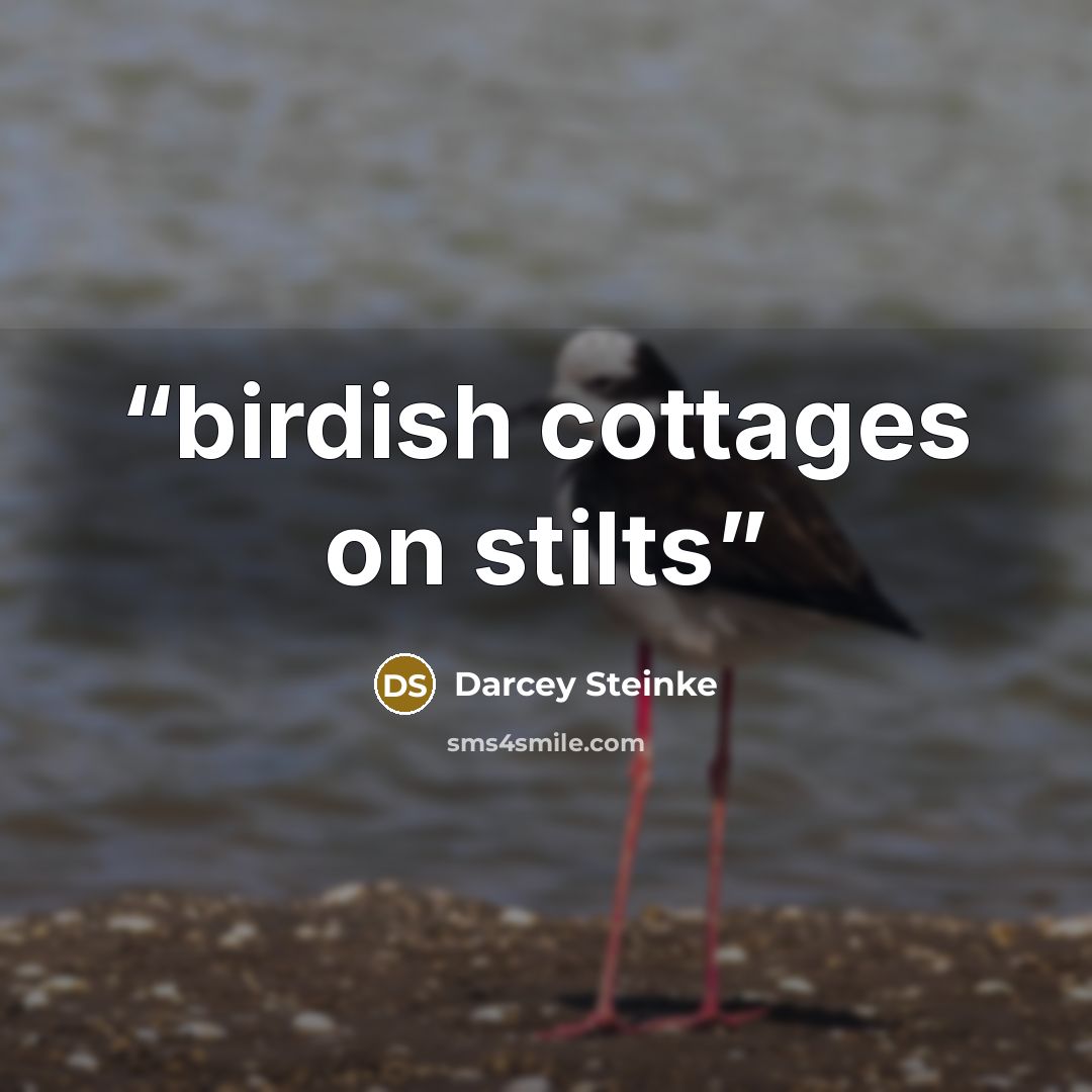 “birdish cottages on stilts” quote by Darcey Steinke