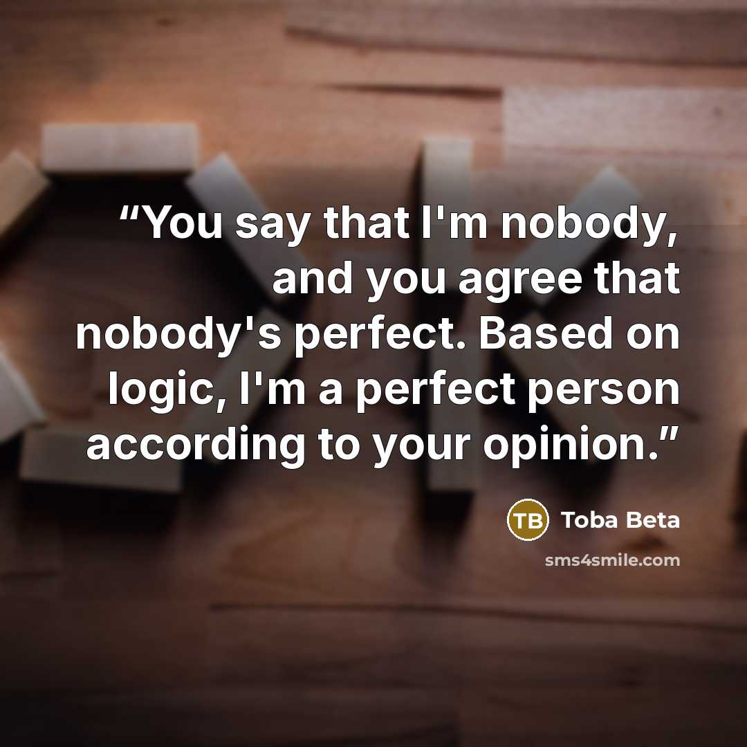 “You say that I'm nobody, and you agree that nobody's perfect. Based on logic, I'm a perfect person according to your opinion.” quote by Toba Beta