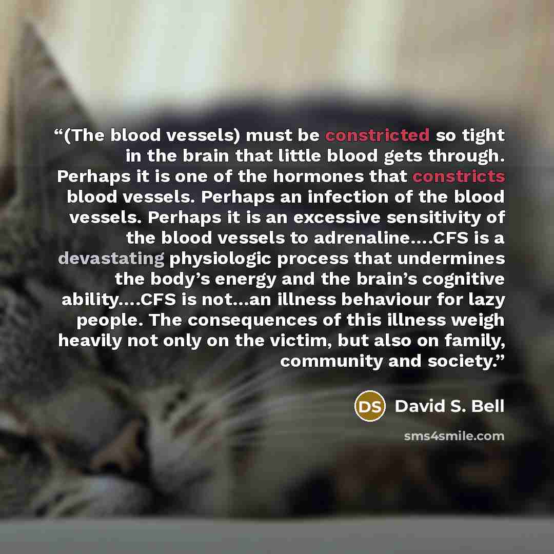 “(The blood vessels) must be constricted so tight in the brain that little blood gets through. Perhaps it is one of the hormones that constricts blood vessels. Perhaps an infection of the blood vessels. Perhaps it is an excessive sensitivity of the blood vessels to adrenaline….CFS is a devastating…” quote by David S. Bell