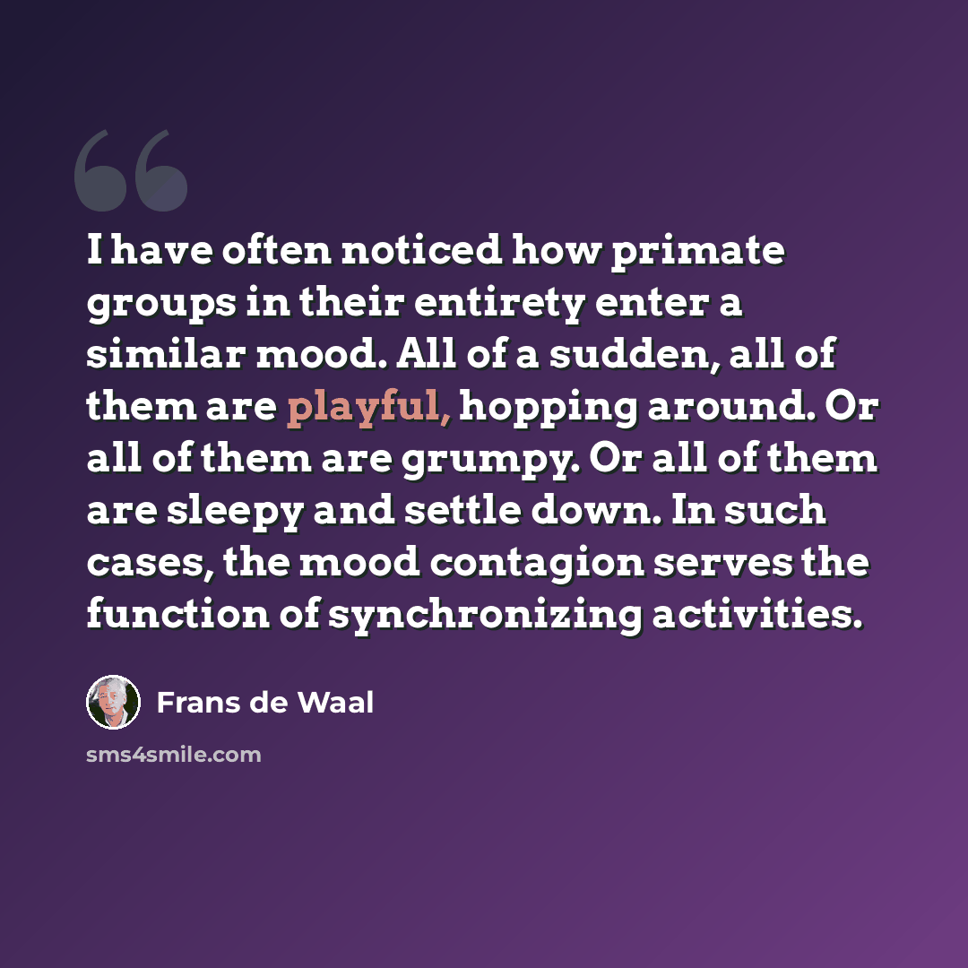 “I have often noticed how primate groups in their entirety enter a similar mood. All of a sudden, all of them are playful, hopping around. Or all of them are grumpy. Or all of them are sleepy and settle down. In such cases, the mood contagion serves the function of synchronizing activities.” quote by Frans de Waal