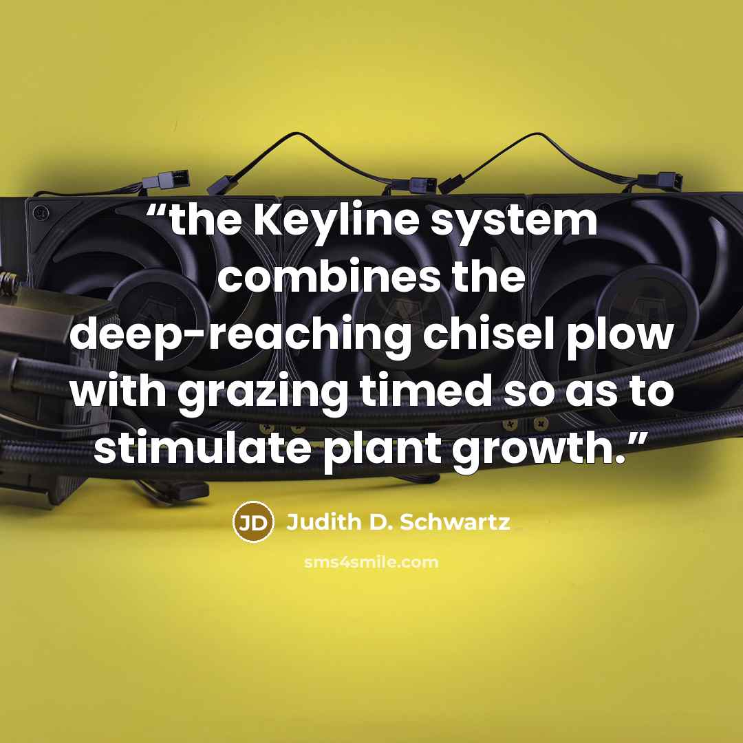 “the Keyline system combines the deep-reaching chisel plow with grazing timed so as to stimulate plant growth.” quote by Judith D. Schwartz