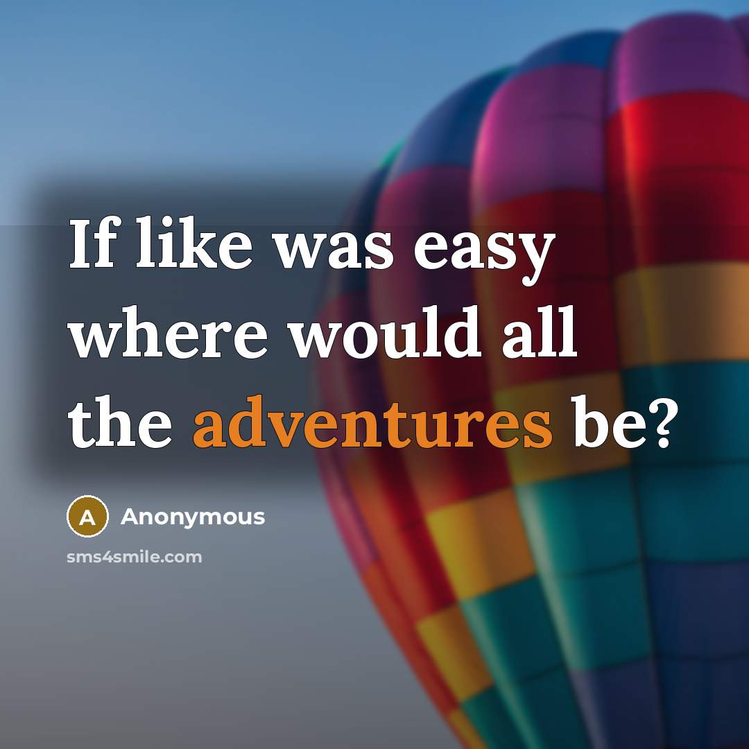 “If like was easy where would all the adventures be?” quote by Anonymous