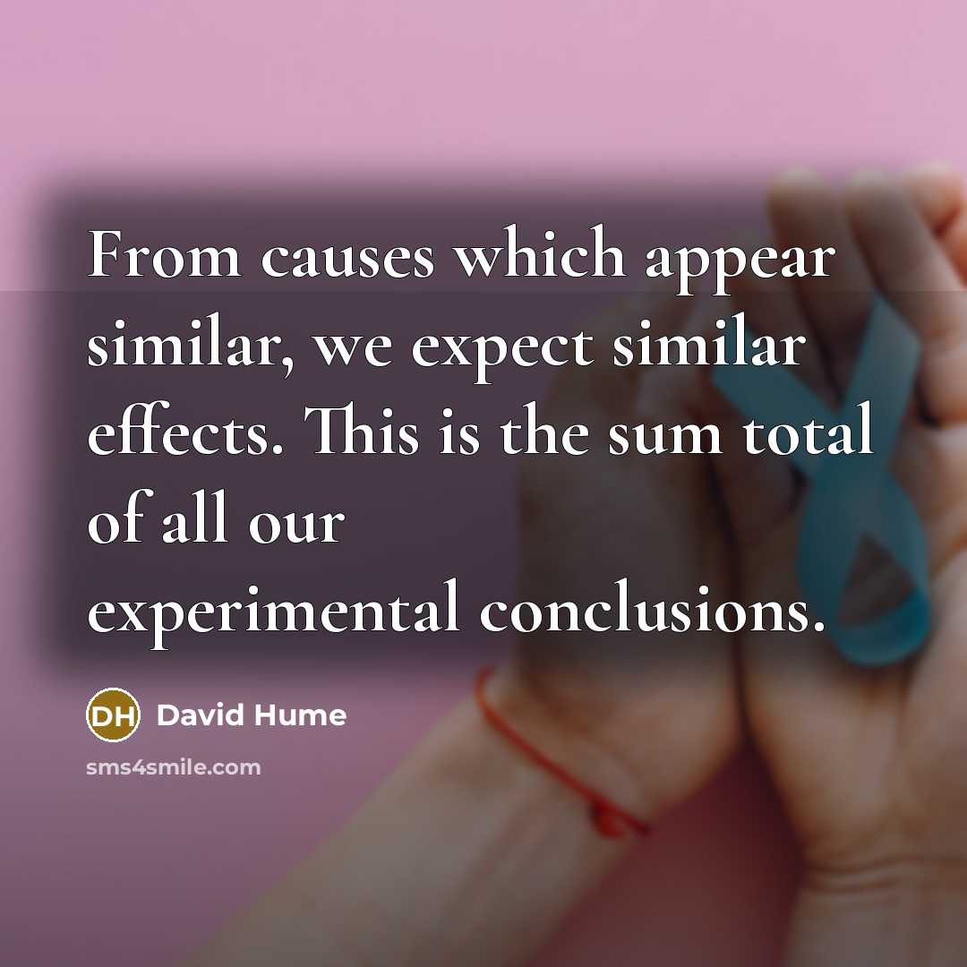“From causes which appear similar, we expect similar effects. This is the sum total of all our experimental conclusions.” quote by David Hume