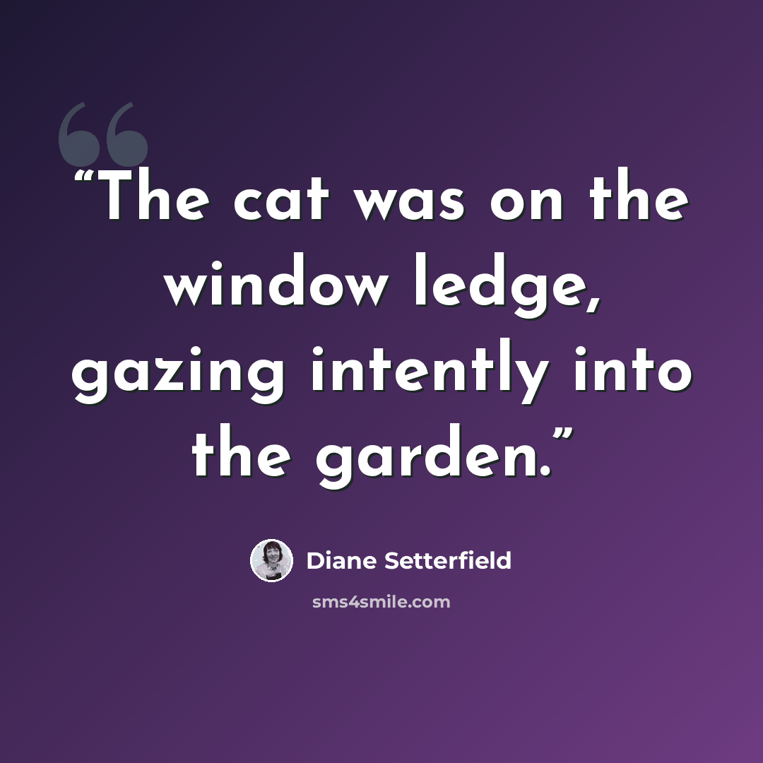 “The cat was on the window ledge, gazing intently into the garden.” quote by Diane Setterfield