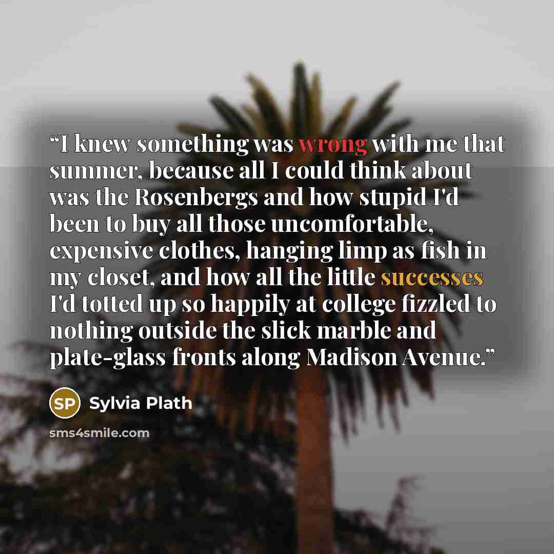 “I knew something was wrong with me that summer, because all I could think about was the Rosenbergs and how stupid I'd been to buy all those uncomfortable, expensive clothes, hanging limp as fish in my closet, and how all the little successes I'd totted up so happily at college fizzled to nothing…” quote by Sylvia Plath