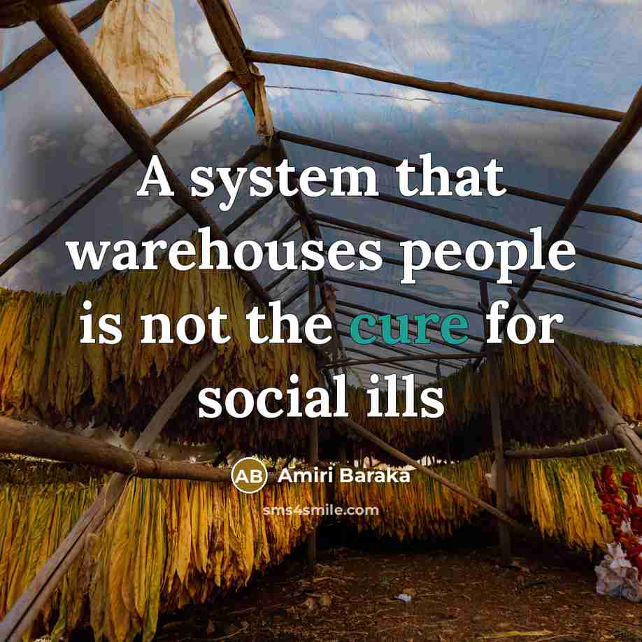 “A system that warehouses people is not the cure for social ills” quote by Amiri Baraka