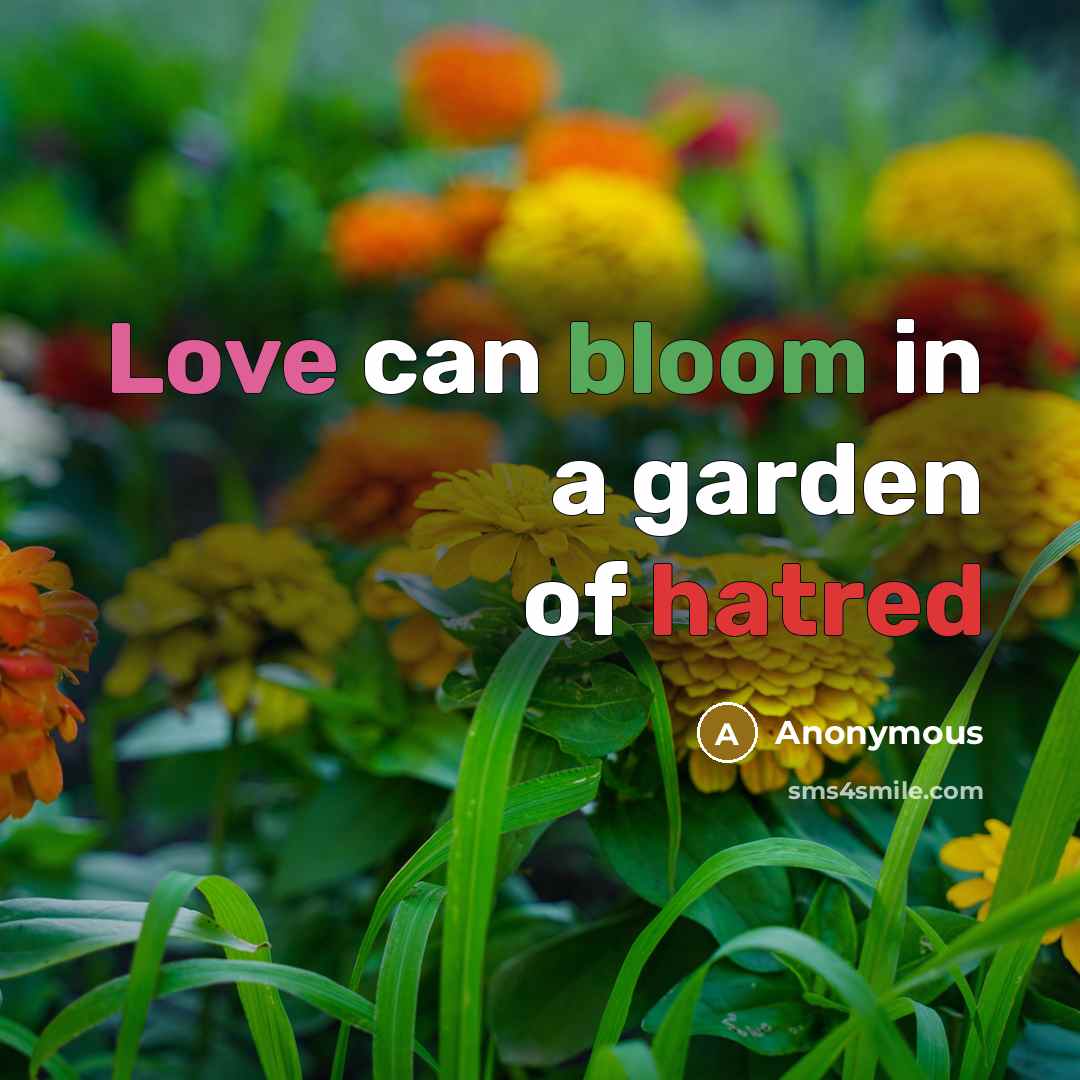 “Love can bloom in a garden of hatred” quote by Anonymous