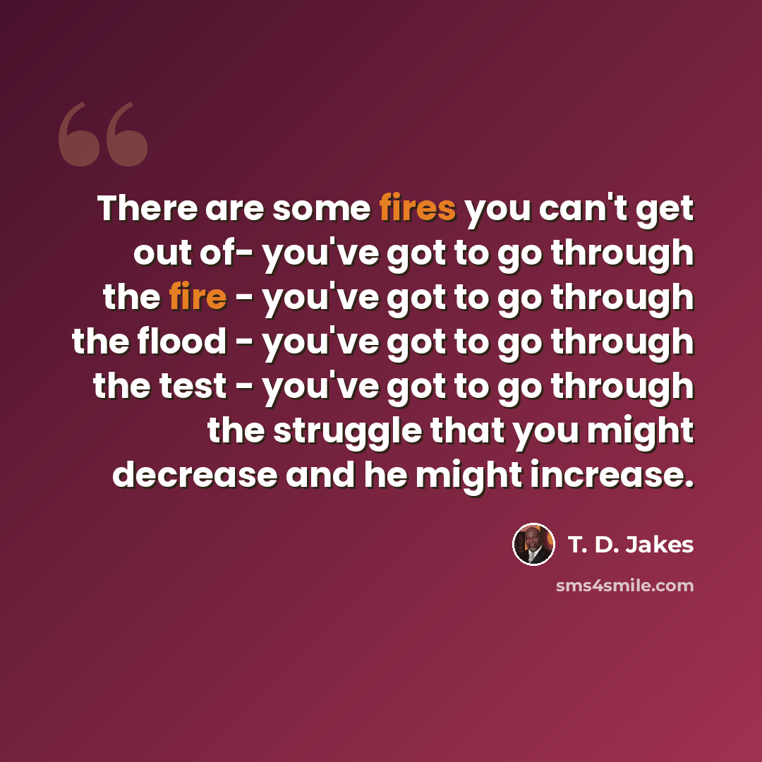 “There are some fires you can't get out of- you've got to go through the fire - you've got to go through the flood - you've got to go through the test - you've got to go through the struggle that you might decrease and he might increase.” quote by T. D. Jakes