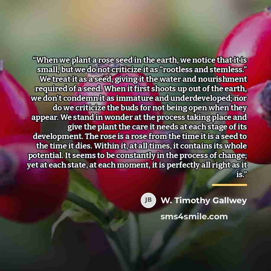 “When we plant a rose seed in the earth, we notice that it is small, but we do not criticize it as "rootless and stemless." We treat it as a seed, giving it the water and nourishment required of a seed. When it first shoots up out of the earth, we don't condemn it as immature and underdeveloped…” quote by W. Timothy Gallwey