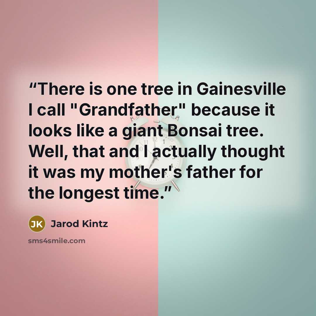 “There is one tree in Gainesville I call "Grandfather" because it looks like a giant Bonsai tree. Well, that and I actually thought it was my mother's father for the longest time.” quote by Jarod Kintz