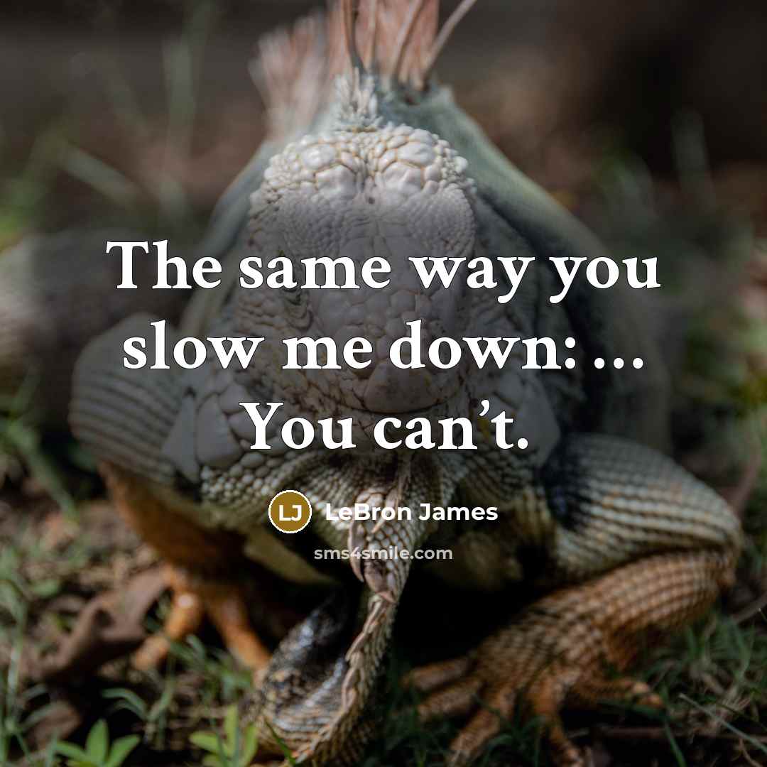 “The same way you slow me down: … You can’t.” quote by LeBron James
