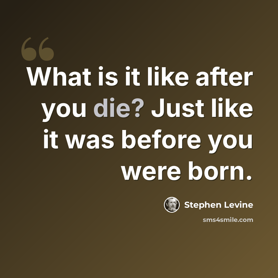 “What is it like after you die? Just like it was before you were born.” quote by Stephen Levine