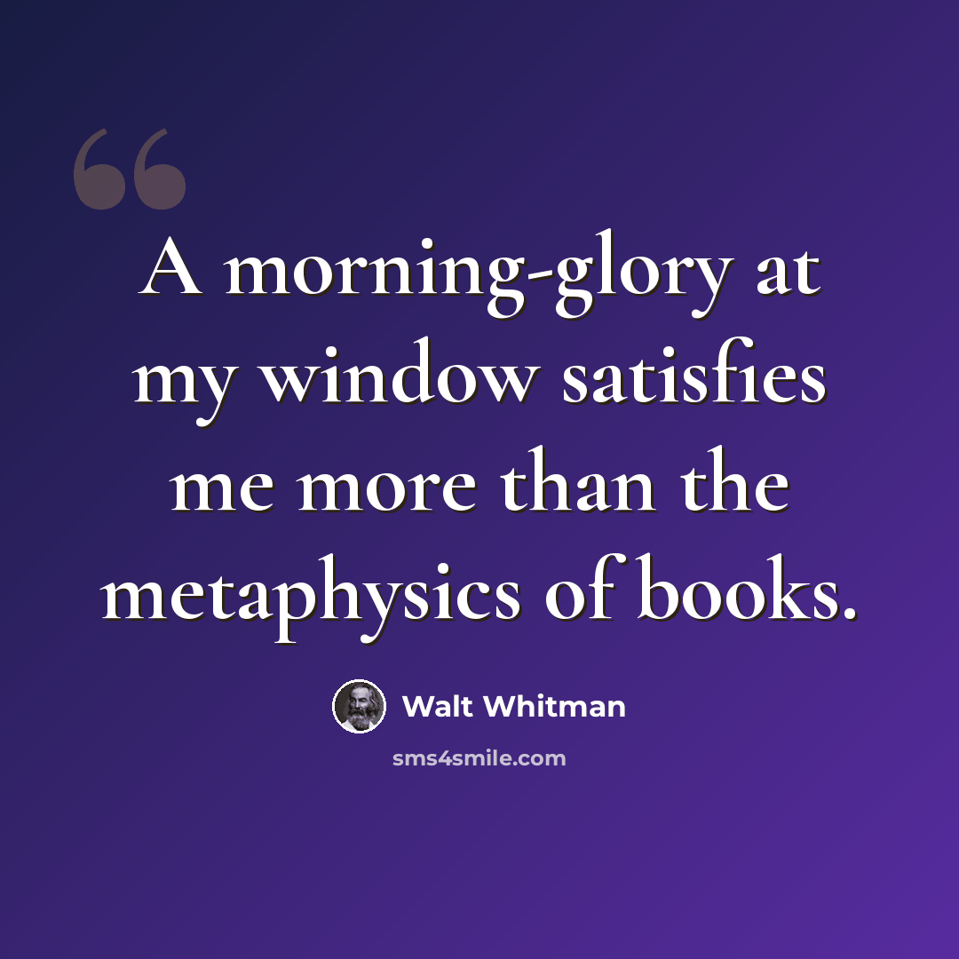 “A morning-glory at my window satisfies me more than the metaphysics of books.” quote by Walt Whitman