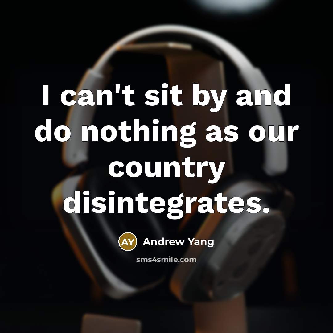 “I can't sit by and do nothing as our country disintegrates.” quote by Andrew Yang