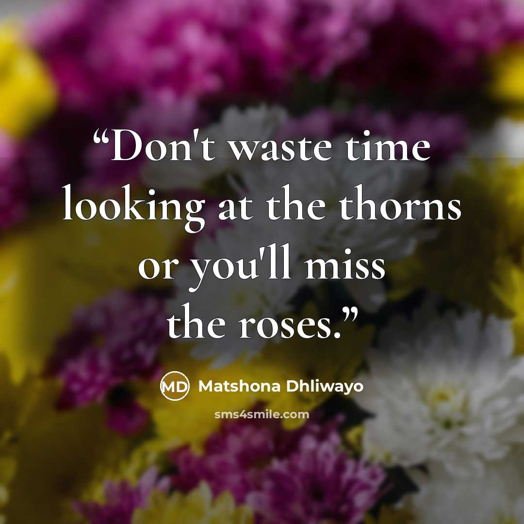 “Don't waste time looking at the thorns or you'll miss the roses.” quote by Matshona Dhliwayo