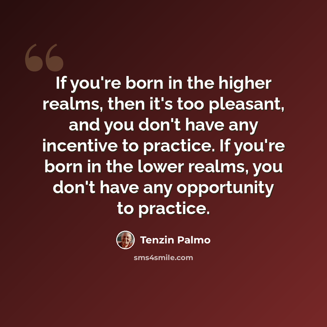 “If you're born in the higher realms, then it's too pleasant, and you don't have any incentive to practice. If you're born in the lower realms, you don't have any opportunity to practice.” quote by Tenzin Palmo