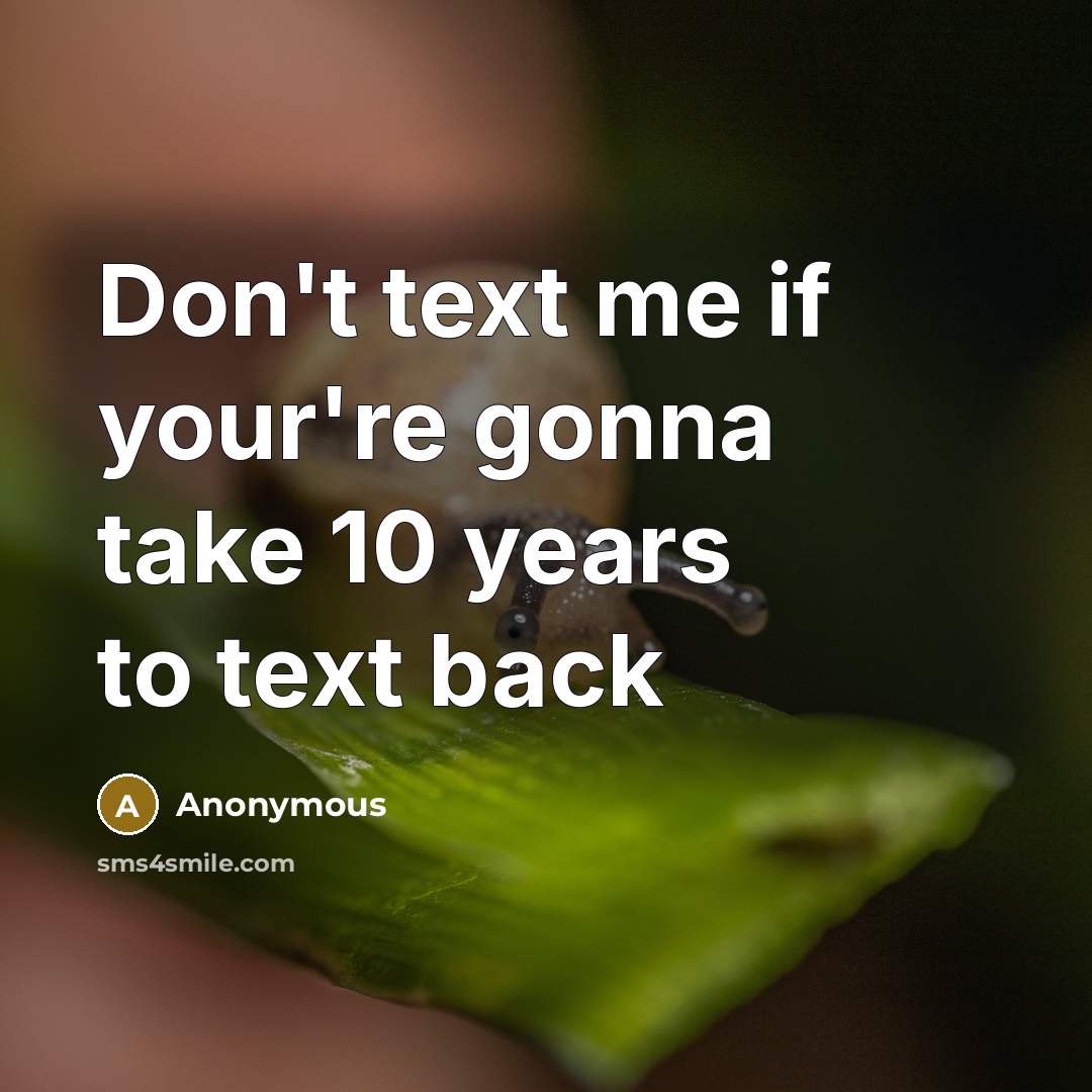 “Don't text me if your're gonna take 10 years to text back” quote by Anonymous