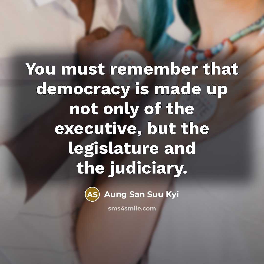 “You must remember that democracy is made up not only of the executive, but the legislature and the judiciary.” quote by Aung San Suu Kyi