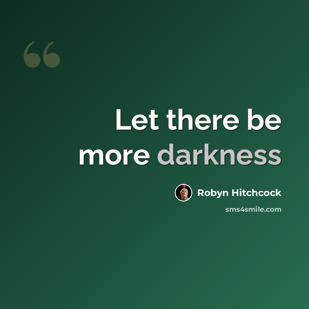 “Let there be more darkness” quote by Robyn Hitchcock