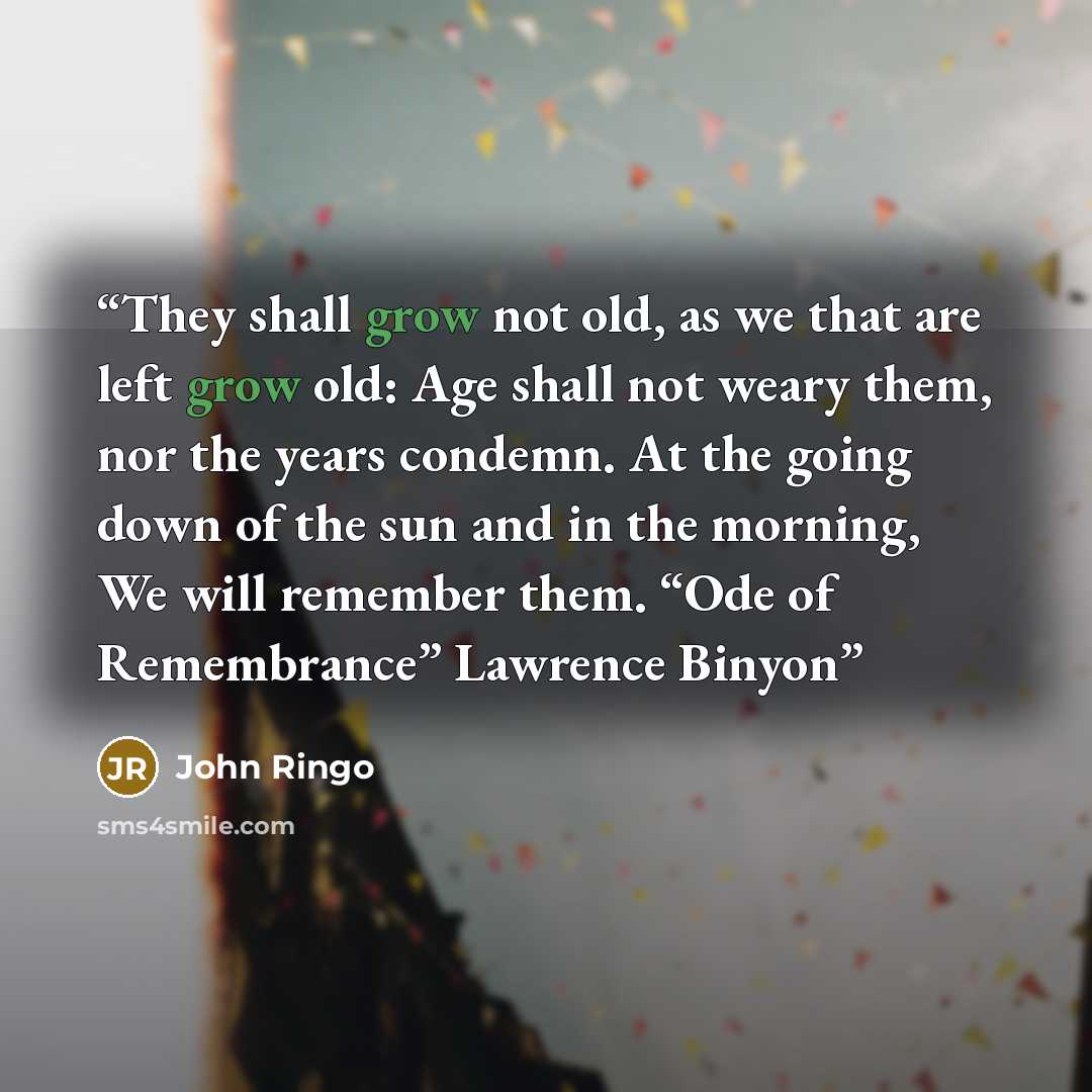 “They shall grow not old, as we that are left grow old: Age shall not weary them, nor the years condemn. At the going down of the sun and in the morning, We will remember them. “Ode of Remembrance” Lawrence Binyon” quote by John Ringo