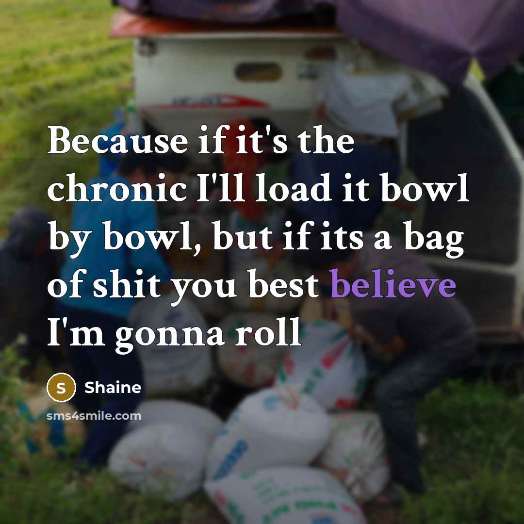 “Because if it's the chronic I'll load it bowl by bowl, but if its a bag of shit you best believe I'm gonna roll” quote by Shaine