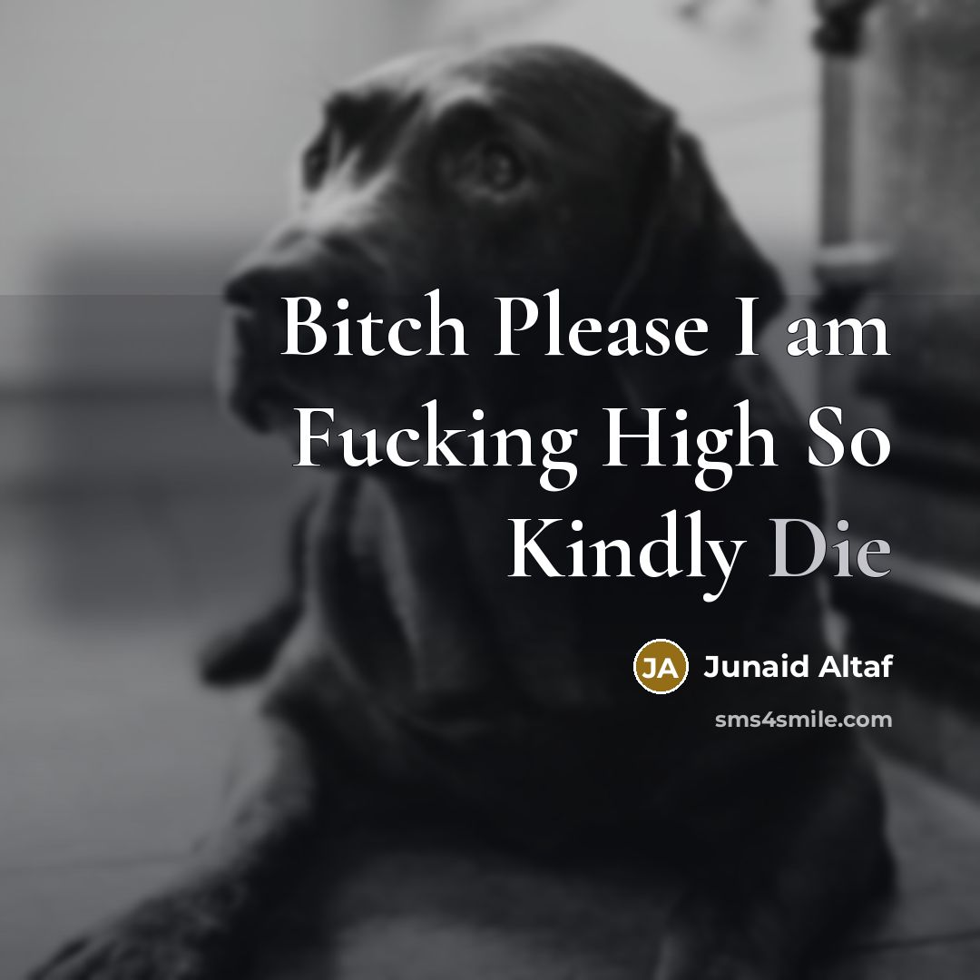“Bitch Please I am Fucking High So Kindly Die” quote by Junaid Altaf