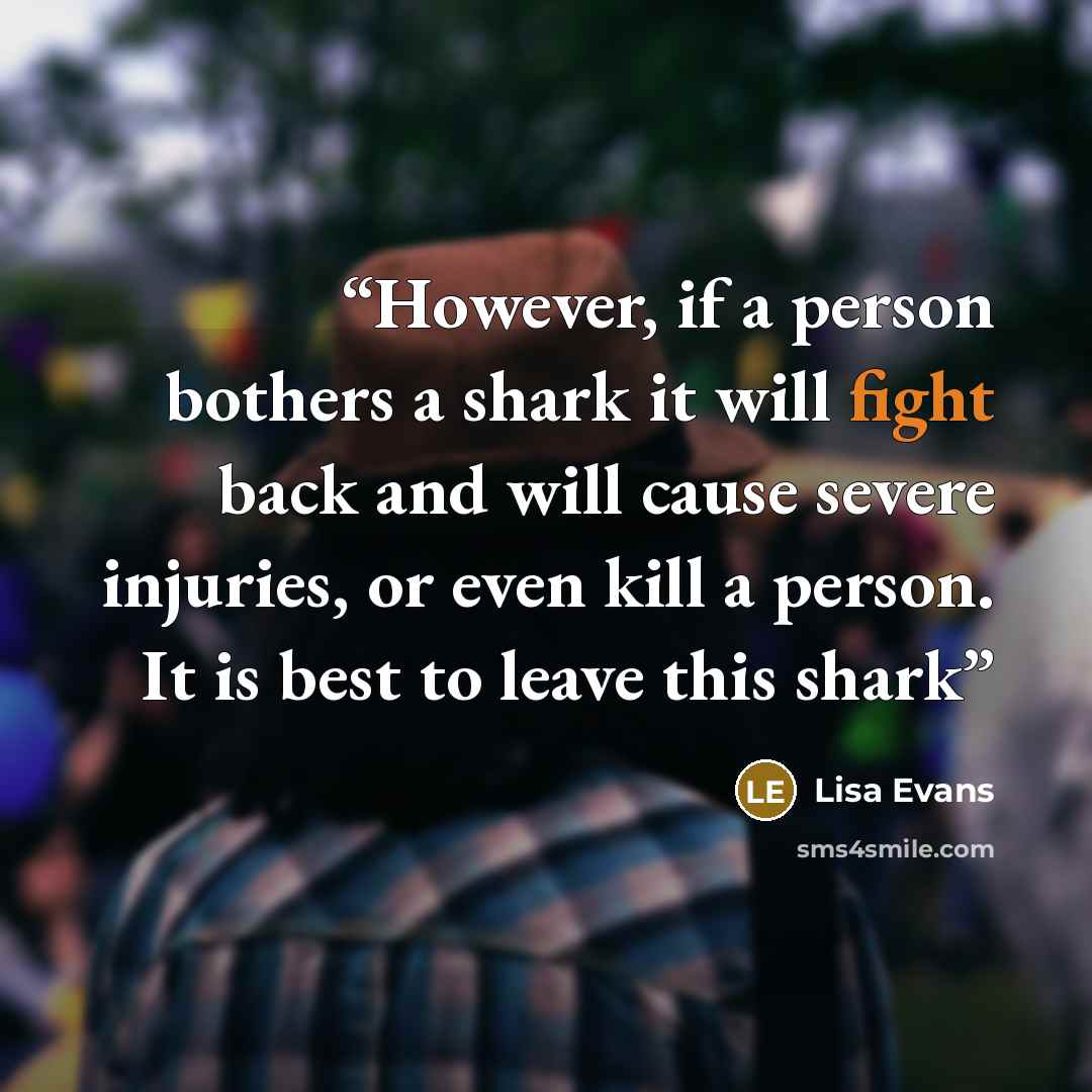“However, if a person bothers a shark it will fight back and will cause severe injuries, or even kill a person. It is best to leave this shark” quote by Lisa Evans