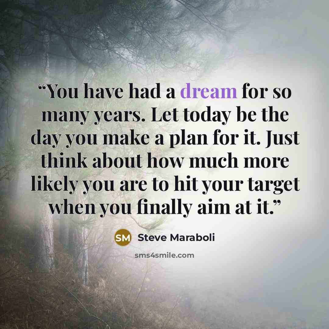 “You have had a dream for so many years. Let today be the day you make a plan for it. Just think about how much more likely you are to hit your target when you finally aim at it.” quote by Steve Maraboli