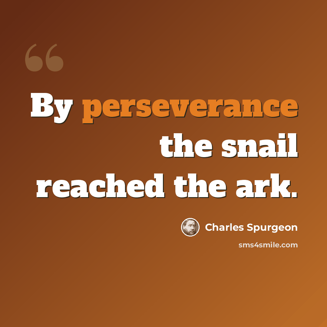 “By perseverance the snail reached the ark.” quote by Charles Spurgeon