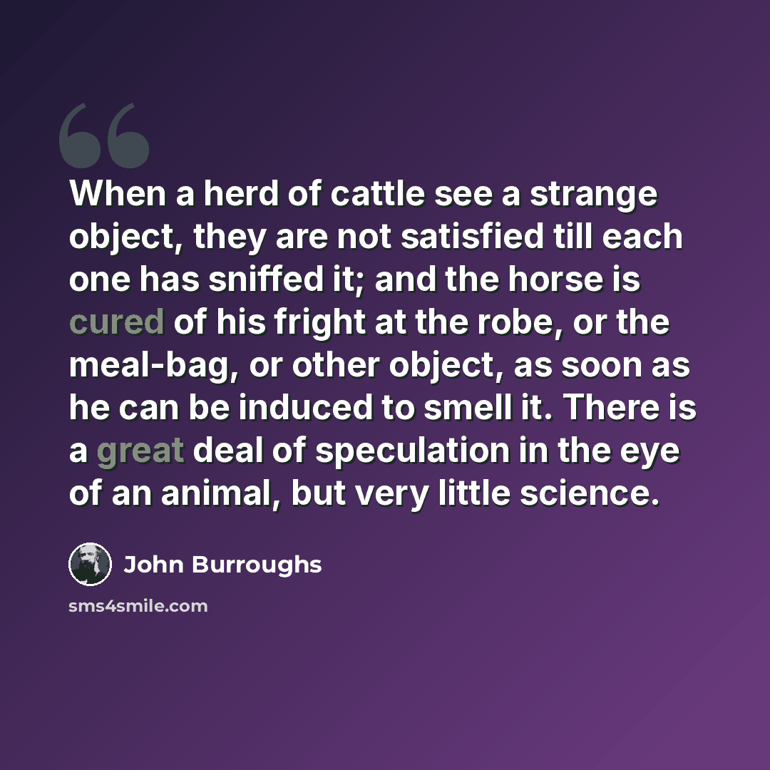 “When a herd of cattle see a strange object, they are not satisfied till each one has sniffed it; and the horse is cured of his fright at the robe, or the meal-bag, or other object, as soon as he can be induced to smell it. There is a great deal of speculation in the eye of an animal, but very…” quote by John Burroughs