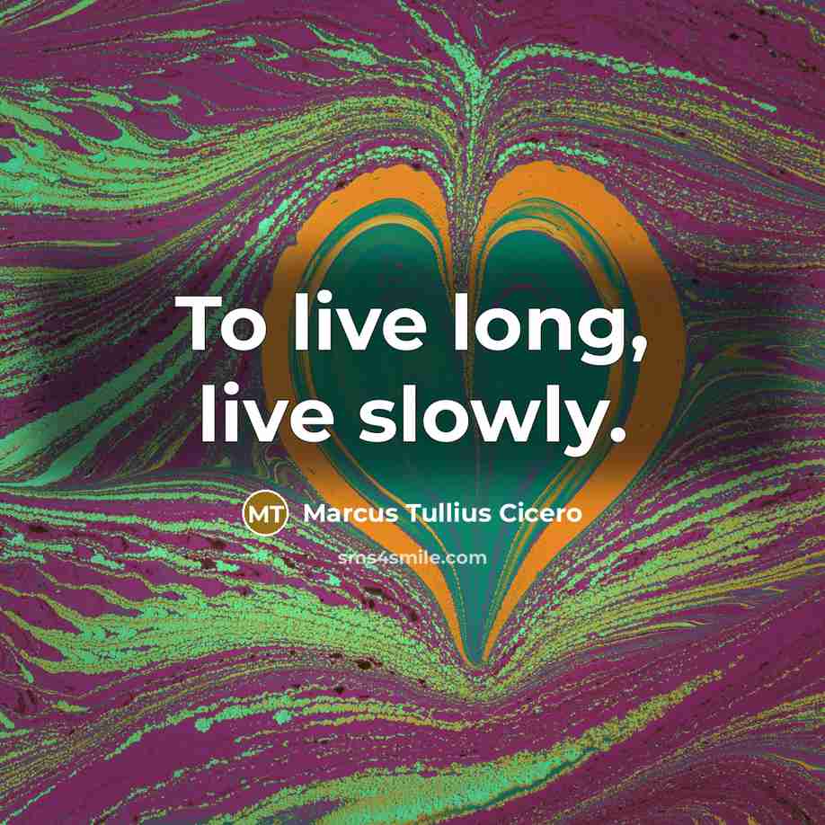 “To live long, live slowly.” quote by Marcus Tullius Cicero