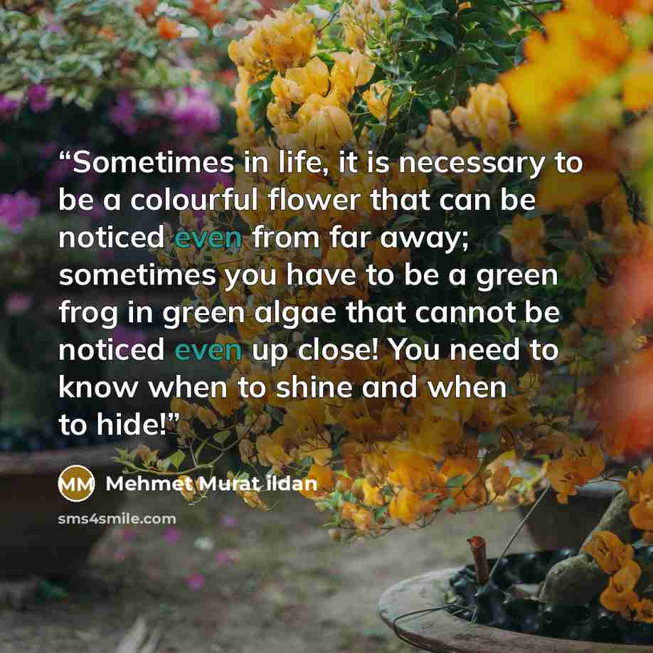 “Sometimes in life, it is necessary to be a colourful flower that can be noticed even from far away; sometimes you have to be a green frog in green algae that cannot be noticed even up close! You need to know when to shine and when to hide!” quote by Mehmet Murat ildan