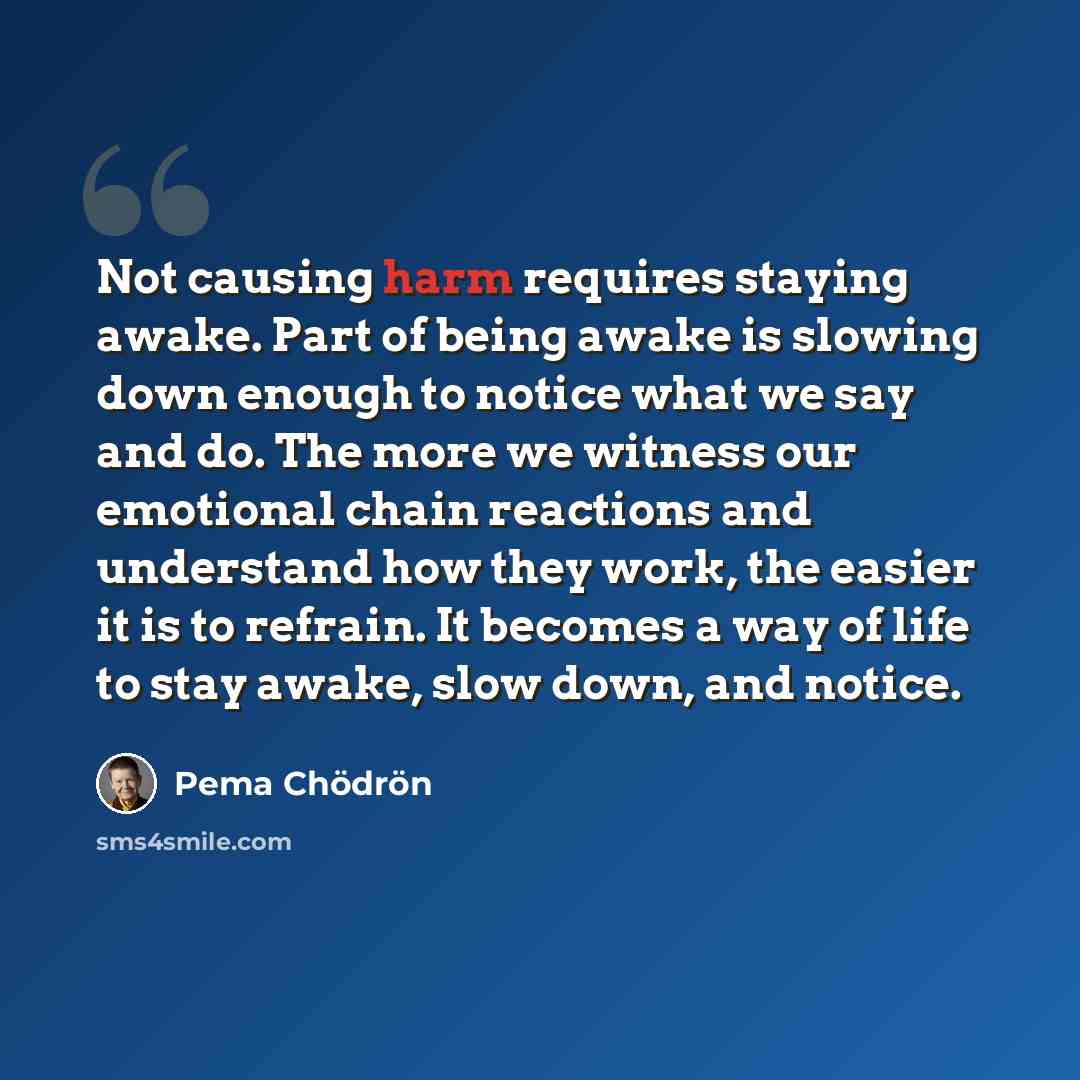 “Not causing harm requires staying awake. Part of being awake is slowing down enough to notice what we say and do. The more we witness our emotional chain reactions and understand how they work, the easier it is to refrain. It becomes a way of life to stay awake, slow down, and notice.” quote by Pema Chodron