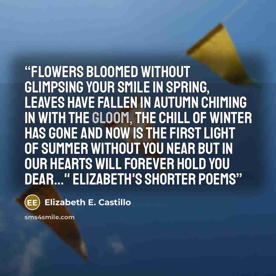 “Flowers bloomed without glimpsing your smile in spring, leaves have fallen in autumn chiming in with the gloom, the chill of winter has gone and now is the first light of summer without you near but in our hearts will forever hold you dear..." Elizabeth's Shorter Poems” quote by Elizabeth E. Castillo