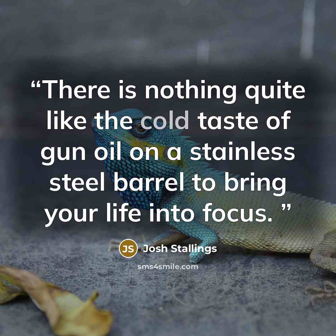 “There is nothing quite like the cold taste of gun oil on a stainless steel barrel to bring your life into focus.” quote by Josh Stallings